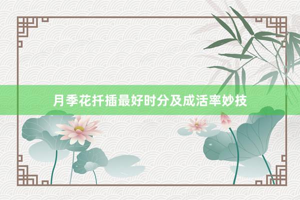 月季花扦插最好时分及成活率妙技