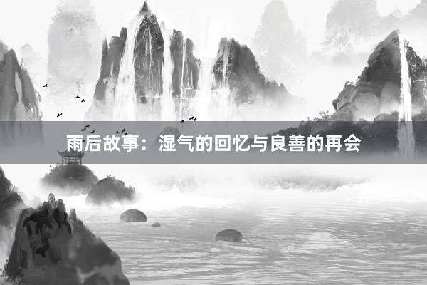 雨后故事:湿气的回忆与良善的再会