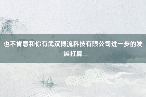 也不肯意和你有武汉博流科技有限公司进一步的发展打算